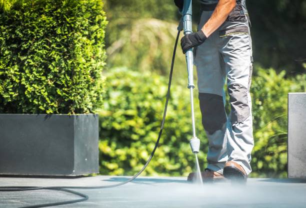 Animal Enclosure Cleaning in Gibbon, NE